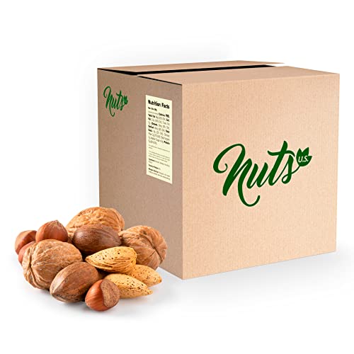 NUTS U.S. – Mixed Nuts In Shell (Almonds, Walnuts, Hazelnuts, Pecans) | No Added Colors and No Artificial Flavors | Fresh Buttery Taste and Raw (12 LBS) image 5