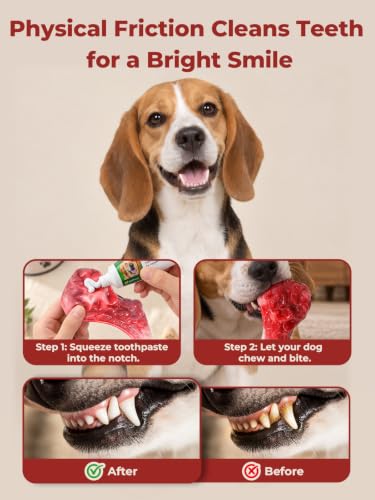 Nylon Bone Dog Chew Toys DROPS TO - image 4