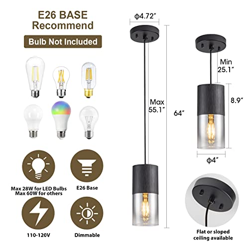 Linseeds Black Pendant Light Fixtures, Modern Chrome Glass Pendant Lights For Kitchen Island, Mini Pendant Lighting For Dining Table Hallway Bedroom Living Room,1 Pack #TOP2