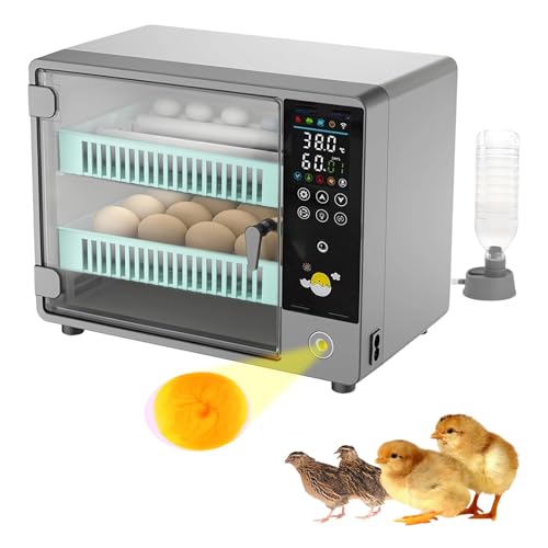 Incubateur d'œufs pour éclosion de poulet, canard et oie automatique