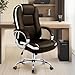 CELTOSS High-Back Ergonomic Office Chair with Lumbar Support, Heavy Duty Executive Desk Chair for Home Office, Brown