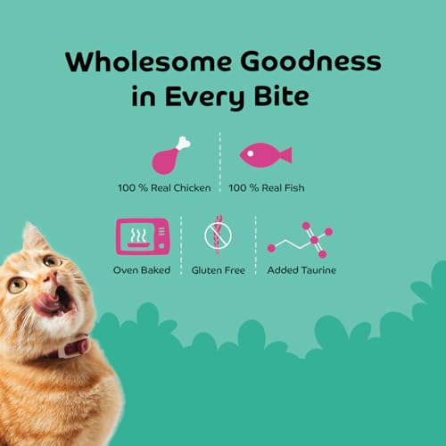 Image of Sardine with Blueberry Soft Cat Treats for Kittens & Adult Cats | Made with Real Sardine | Grain-Free Protein-Rich Snacks with Taurine & No Fillers | Pack of 2 | 35g x 2