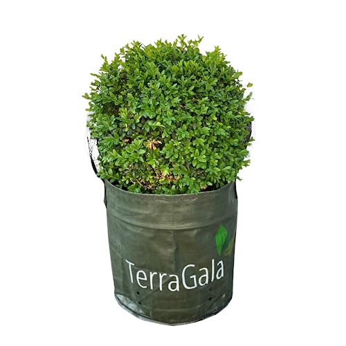 TerraGala Gartensack, Pflanzsack, Laubsack aus recyceltem Kunststoff, 15l Fassungsvermögen, Ø 30cm, 30cm Höhe (20 Stück)