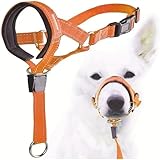 Hundehalfter Verstellbar Maulschlaufe Hund Gepolstertem Stoff,Hundehalfter Mit Gepolstertem Stoff,Verstellbar Ziehen Verhindert Halti Kopfgeschirr (Orange, S)
