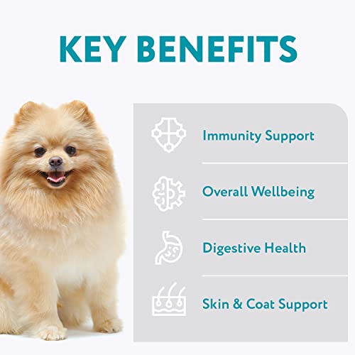 Optimeal Dry Dog Food For Toy Breeds - Proudly Ukrainian - Tasty Dog Food Dry Recipe With Skin And Digestive Support For Adult Small And Toy Breed Dogs (3.3 Pound (Pack Of 1), Salmon & Brown Rice) #TOP1