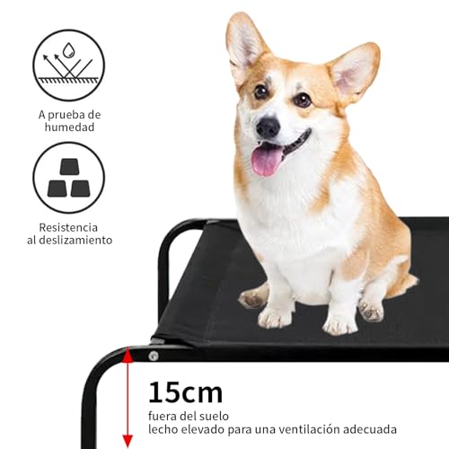 Perro, Pet Products Imagen adicional