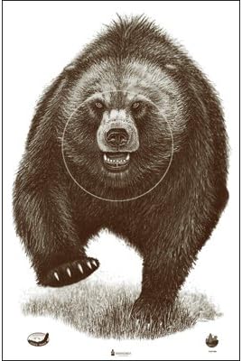 Alaska State Parks Bear Target Brown Bear Target with Shaded hit-Zone Ring Brown Size: 23" x 35