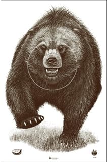 Alaska State Parks Bear Target 50 pack