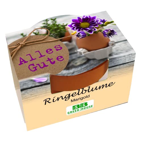 Bull & Bear Mini Pflanzset \'Alles Gute\' Ringelblume Samen Set mit Tontöpfchen mit Ringelblumensamen und Pflanzsubstrat Bull & Bear Mini Pflanzset \'Alles Gute\' Ringelblume Samen Set mit Tontöpfchen mit Ringelblumensamen und Pflanzsubstrat