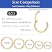 HeraBPJW 5 Pcs Hoop Nose Ring,G23 Titanium 18G Septum Ring Body Piercing Jewelry,6mm/7mm/8mm/9mm/10mm-Gold