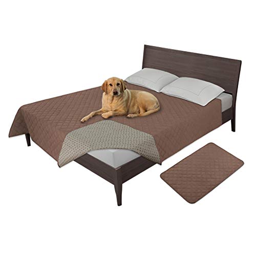 Couverture lit de chien pour protéger le canapé du salon gris