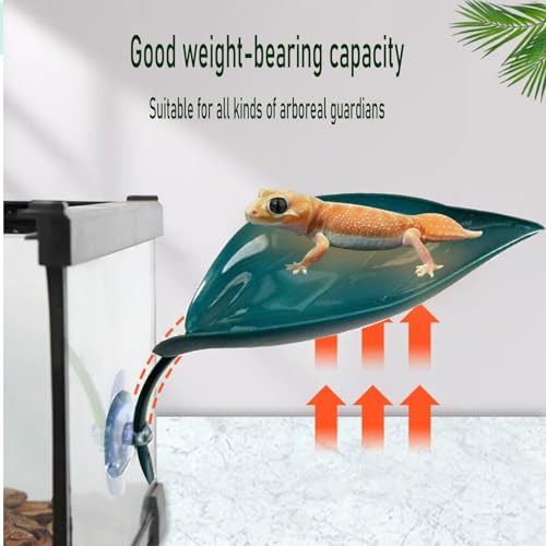 Image of 3pcs Crested Gecko Hide，Wall Climbing Gecko Toy，Reptile Leaf，Crested Gecko Tank Accessories，Turtle Tank Decorations，Tree Frog Terrarium Accessories (Grass Green)