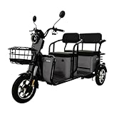 Massimo Motor Tricycle, e-Trike 3 Wheels Electric Bike, MGC 800W Hub Motor 17 mph Front and Back Backseat, 3 Passengers with Front and Back Storage (Gray)
