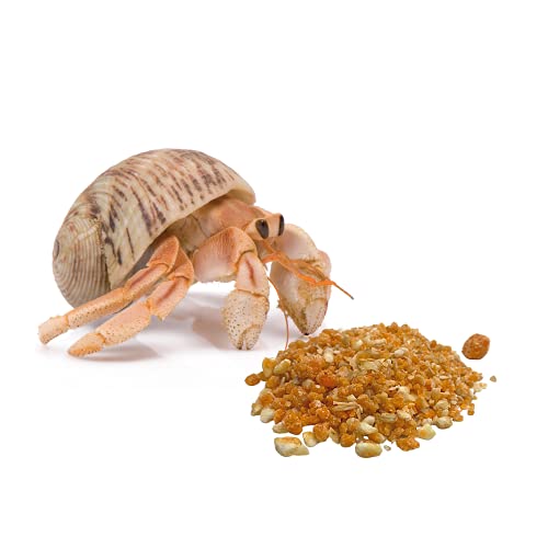 Florida Marine Research SFM00007 Hermit Crab Treat, 1.5-Ounce thumb #2