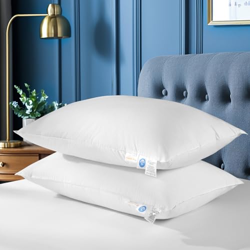 LIANLAM Canadian White Goose Down Pillow Set 2 (20"x31")