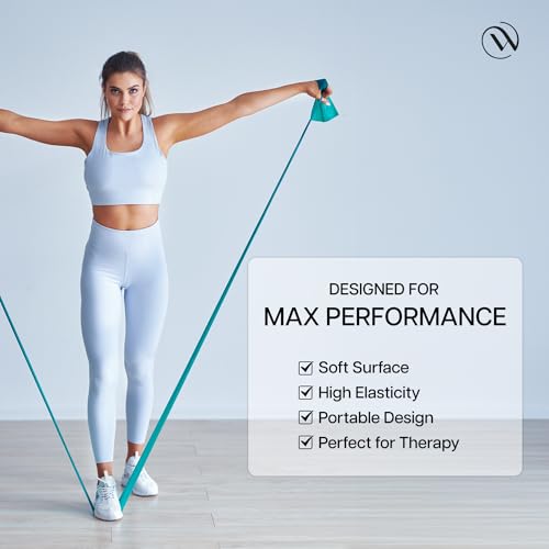 Image of Wiselife Professional Latex Resistance Thera Band - (Set of 3) | 48x4 inch |100% Natural | for Warm-Up, Stretching, Cardio, Strength Training, Home Fitness, Exercise, Gym Workout,& Yoga