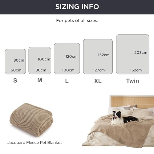 Bedsure Hundedecke für Haustier Hunde Katzen Welpen Weiche Warme Matte, flauschig und weich, Hellgraubraun 100x120 cm