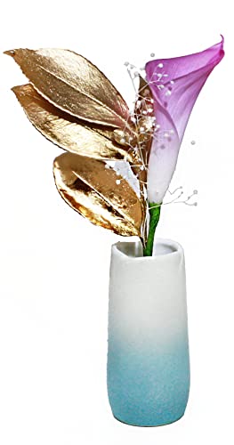 [A&K] v` J[[ RT[W ֑} vU[uh t[ CeA fXN ȃXy[X   _  ybg d rO gC ̗t ^ J^