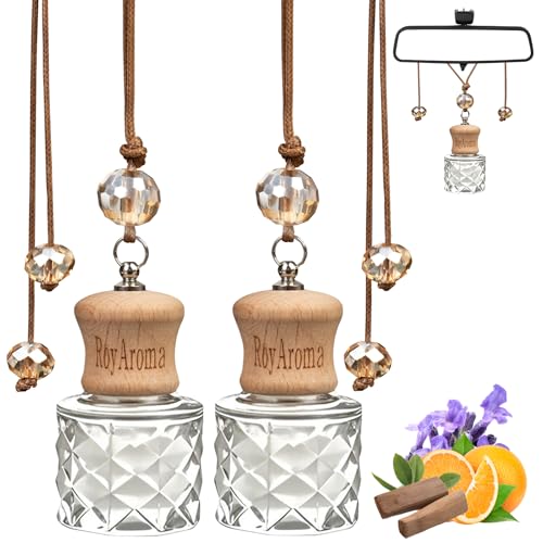 RoyAroma Hanging Car Air Fresheners, 2 Pack Long Lasting Automotive air fresheners up to 30-45 Days, Non Toxic Natural Fragrance Car Diffuser Freshener for Cars, Home,Office- Cool Ice