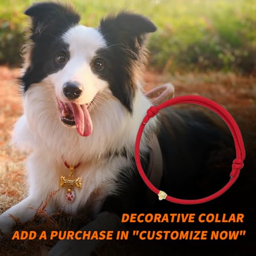 Memopaw Dogs Tag Stylish Personalized Double Sided Deep Engraved Cat & Dog Tags Engraved For Pets Bone Balloon Shape Brass thumb #7