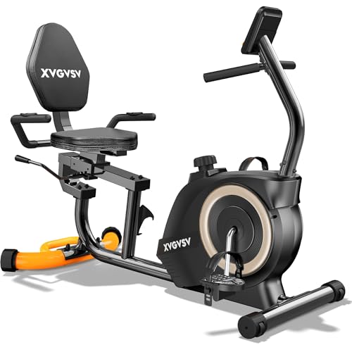 XVGVSV Recumbent Bike