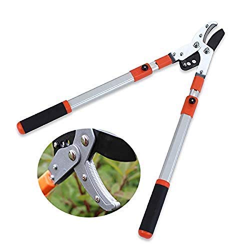 Tijeras de podar telescópicas para árboles de jardín, corte fácil para tijeras de podar de calidad para jardinería, tijeras de podar de trinquete resistentes, extensibles de 66 a 101 cm para toda