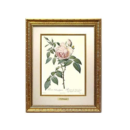 ① ルドゥーテ 絵額 レ ローズ バラ図譜 フォリオ判 銘木調フレーム 額 絵 Amazon.co.jp: ルドゥーテ 絵額 『レ・ローズ（バラ図譜）』フォリオ判