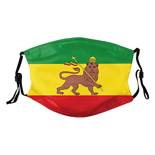 Ethiopian Flag Adult Dust Mask Adjustable Dust Face with 2 Filter38