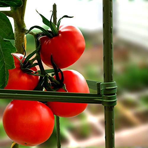 Growneer 3 Packs Tomato Cages, Up To 51 Inches Plant Cages Assembled Tomato Garden Cages Stakes Vegetable Support Trellis, With 9Pcs Clips And 328 Feet Twist Tie, For Vertical Climbing Plants #TOP6