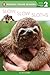 Slow, Slow Sloths (Penguin Young Readers, Level 2)