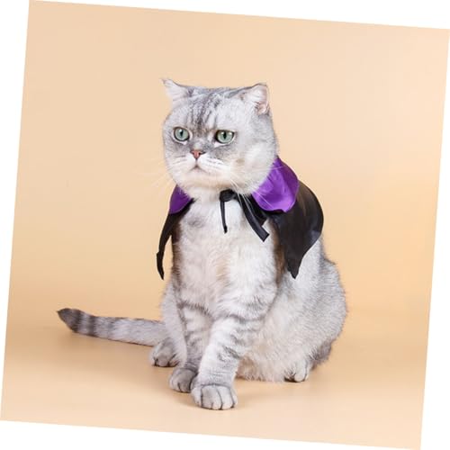 Disfraz Halloween para perro con capa y sombrero miniatura 3