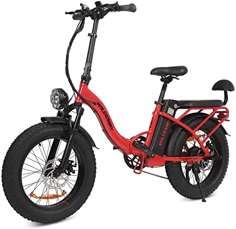 WILDEWAY Electric Bike for Adults Fat Tire Folding 750W Electric Bicycle with 48V 13AH Removable 