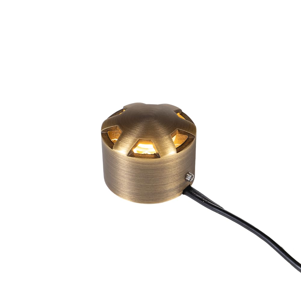 Amazon.com: VOLT 12V 1W 2200K Candlelight IP67 Watertight 100