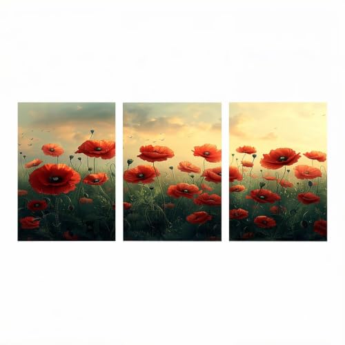 Peinture Diamant 30x45cmx3Pack Anti-Stress pour Adultes Activité Manuelle et Détente
