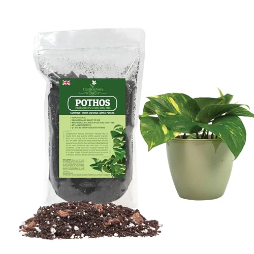 Premium Pothos Potting Soil - Air Cleaning Plant Potting Mix for Pothos, Parlor Palm, Peace Lily - 1 Liter Bag