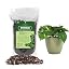 Pothos Potting Soil Mix