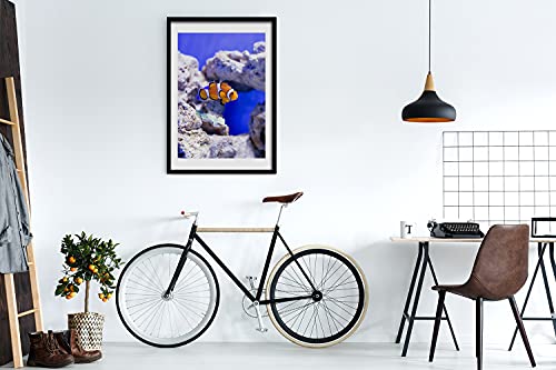 Cadre en bois MDF 50x70 cm avec affiche poisson Nemo pour décoration murale moderne