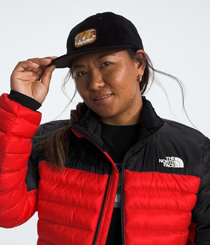 Image of The North Face Mens Terra Peak Jacket
