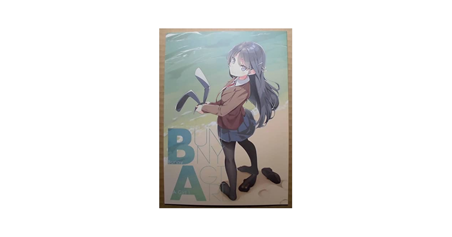 青豚、1次創作品、Bunny Girl Senpai イラスト集 セット コミケ 青豚、1次創作品、Bunny Girl Senpai イラスト集 セット コミケ