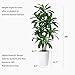 Artificial Dracaena Plant 6FT - Fake Tree with White Tall Planter - Faux Yucca Tall Fake Floor Plant in Pot - Artificial Trees for Home Office Living Room Decor Indoor