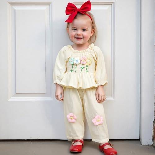 Toddler Baby Girl Outfits Infant Puff Sleeve Smocked Floral Tops Pants Cute Kids Girls Fall Winter Clothes Set3