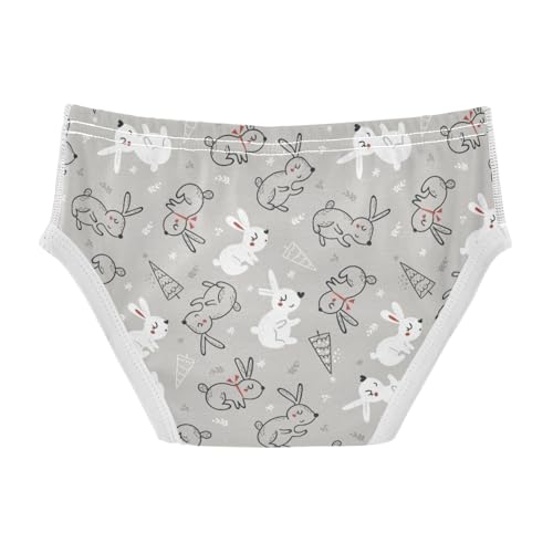 Boys' Exclusive Briefs Toddler Underwear 95% Combed Cotton Boxerbriefs 2T Bunny and Ice - Cream Pattern 732