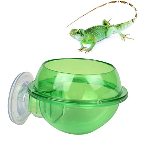 alimentador de répteis antifuga com 2 peças para ração de répteis antifuga para cobras de tartaruga,