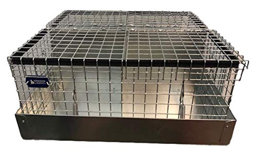 All Things Bunnies 4 Hole Cavy/Chinchilla Carrier/Transport Cage