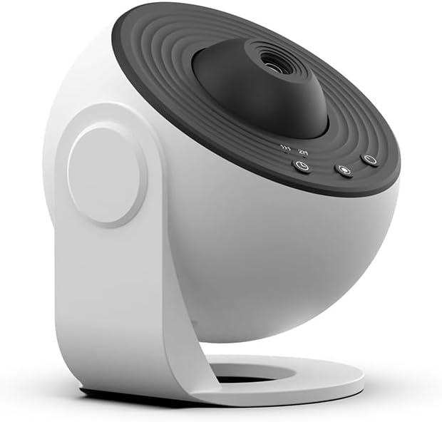 1299⭐️超透明感⭐️【蜃気楼】クリスマスローズ 1299⭐️超透明感⭐️【蜃気楼】クリスマスローズ