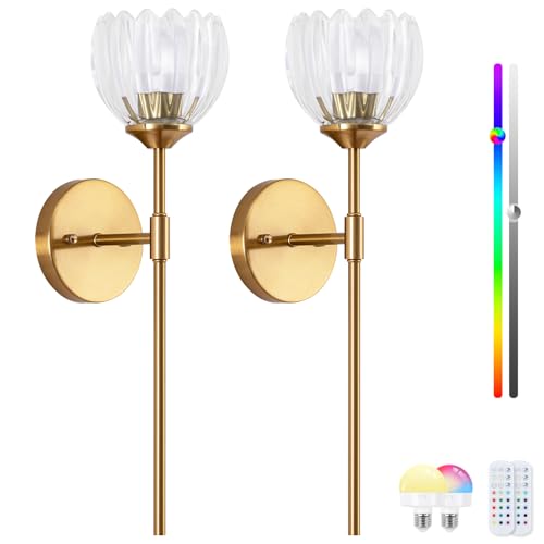 Image of Vintage Battery Operated Wall Sconce Set of 2,Rechargeable Wall Lights with RGB Dimmable Detachable Bulbs and Remote,LED Wireless Wall Lamps for Bedroom Living Room Hallway