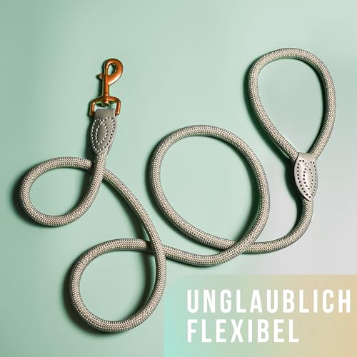 ne&no Tauleine 1.7m (leicht dehnbar) für mittelgroße bis ganz große Hunde I Trainingsleine I Hundeleine robust I Führleine rund, geflochten I Seil Leine Hund I Cityleine I Dog Leash SALBEIGRÜN, 170 cm