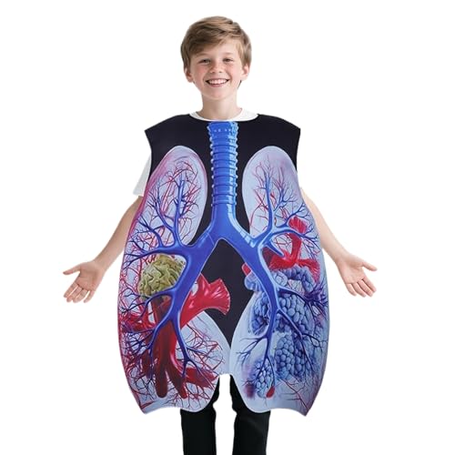 Costume d'orgue pour enfants aide visuelle pour démonstrations de biologie