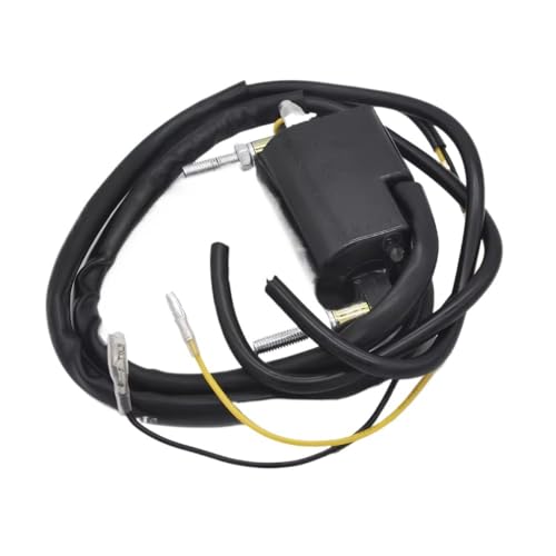 Bobina de encendido de moto para solucionar fallos de arranque en motores Z 125