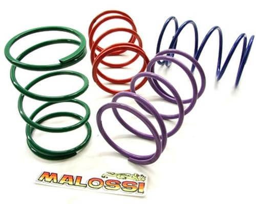 Ressort à contre-pression MALOSSI Racing 106proz – Gilera Peugeot